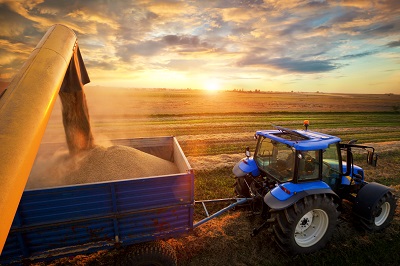 Tractor harvesting grain 